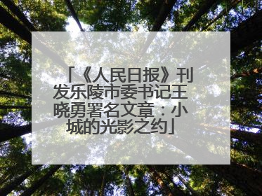《人民日报》刊发乐陵市委书记王晓勇署名文章：小城的光影之约