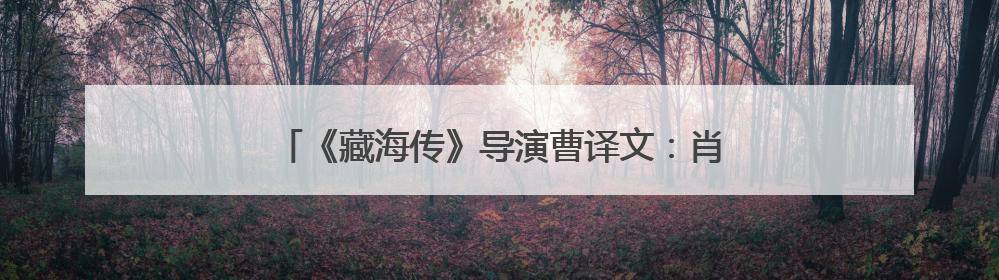 《藏海传》导演曹译文：肖战赋予藏海“致命”吸引力