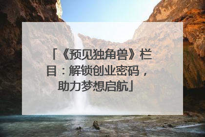 《预见独角兽》栏目：解锁创业密码，助力梦想启航