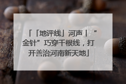 「地评线」河声丨“金针”巧穿千根线，打开善治河南新天地