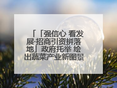 「强信心 看发展·招商引资拼落地」政府托举 绘出蔬菜产业新图景——镇原县甘肃聚广利现代设施蔬菜种植基地见闻