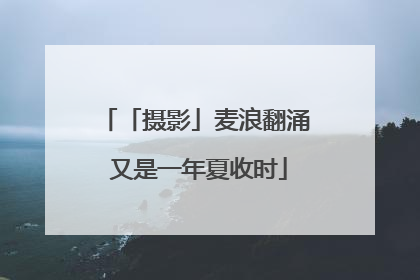 「摄影」麦浪翻涌 又是一年夏收时