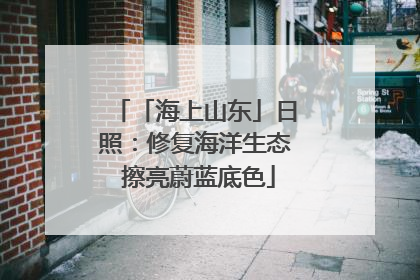 「海上山东」日照：修复海洋生态 擦亮蔚蓝底色