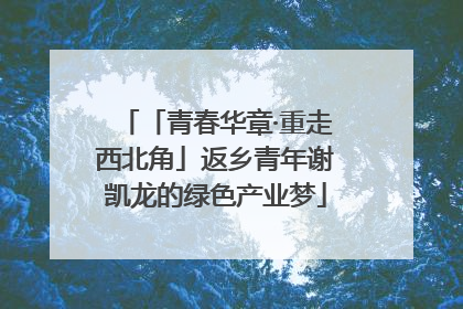 「青春华章·重走西北角」返乡青年谢凯龙的绿色产业梦