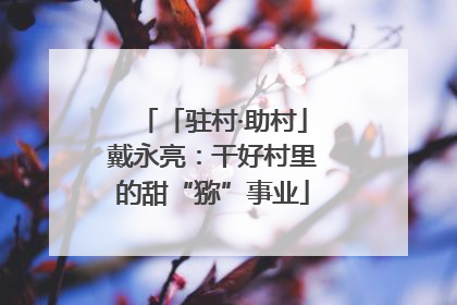 「驻村·助村」戴永亮：干好村里的甜“猕”事业
