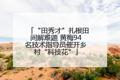 “田秀才”扎根田间解难题 黄梅94名技术指导员催开乡村“科技花”