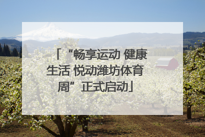 “畅享运动 健康生活 悦动潍坊体育周”正式启动