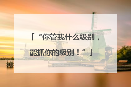 “你管我什么级别，能抓你的级别！”