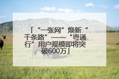 “一张网”焕新“千条路”——“粤通行”用户规模即将突破600万