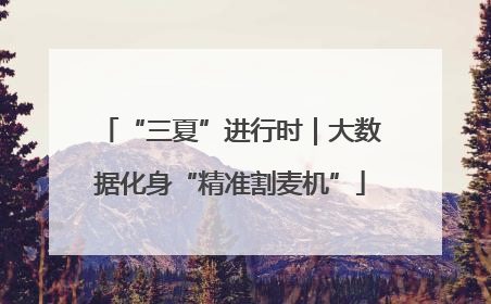 “三夏”进行时｜大数据化身“精准割麦机”