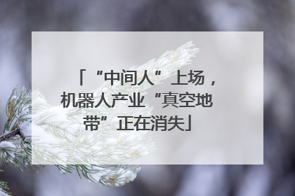 “中间人”上场，机器人产业“真空地带”正在消失