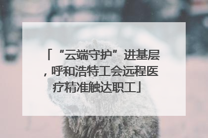 “云端守护”进基层，呼和浩特工会远程医疗精准触达职工