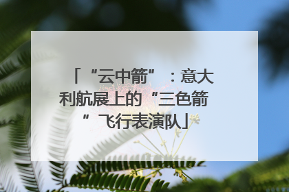 “云中箭”：意大利航展上的“三色箭”飞行表演队