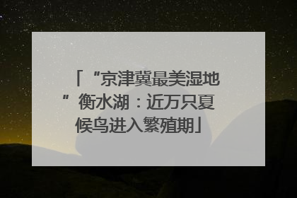 “京津冀最美湿地”衡水湖：近万只夏候鸟进入繁殖期