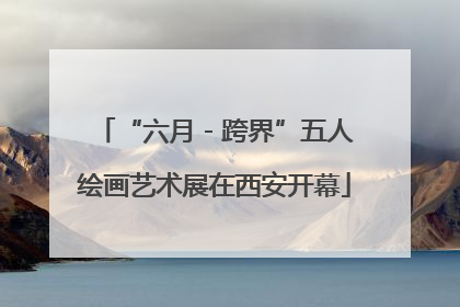 “六月 - 跨界”五人绘画艺术展在西安开幕