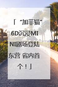 “加菲猫”6D沉浸MINI剧场登陆东营 省内首个！