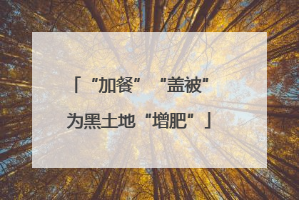“加餐”“盖被” 为黑土地“增肥”