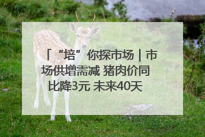 “培”你探市场｜市场供增需减 猪肉价同比降3元 未来40天便宜猪肉敞开吃