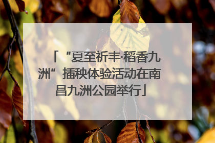 “夏至祈丰·稻香九洲”插秧体验活动在南昌九洲公园举行