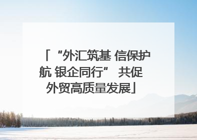 “外汇筑基 信保护航 银企同行” 共促外贸高质量发展