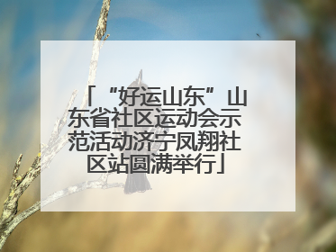 “好运山东”山东省社区运动会示范活动济宁凤翔社区站圆满举行