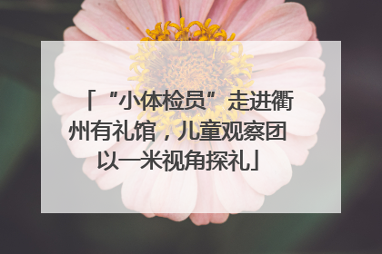 “小体检员”走进衢州有礼馆，儿童观察团以一米视角探礼