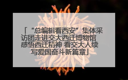 “总编辑看西安”集体采访团走进交大西迁博物馆 感悟西迁精神 看交大人续写爱国奋斗新篇章