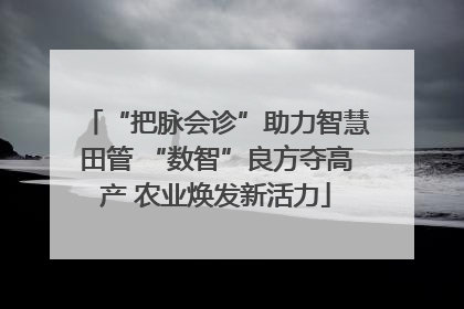 “把脉会诊”助力智慧田管 “数智”良方夺高产 农业焕发新活力