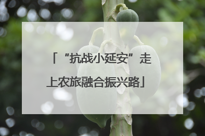 “抗战小延安”走上农旅融合振兴路