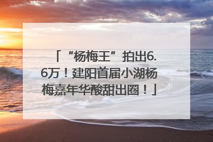 “杨梅王”拍出6.6万！建阳首届小湖杨梅嘉年华酸甜出圈！