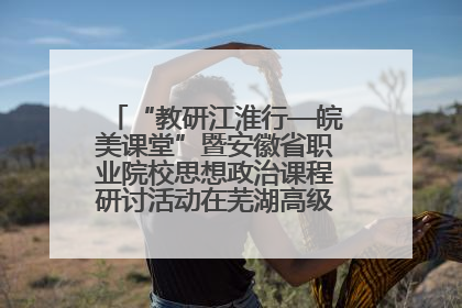 “教研江淮行—皖美课堂”暨安徽省职业院校思想政治课程研讨活动在芜湖高级职业技术学校举行