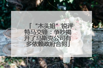 “木头姐”锐评特马交锋：争吵揭开了马斯克公司有多依赖政府合同
