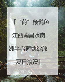 “荷”颜悦色 江西南昌水岚洲半岛荷塘绽放夏日浪漫