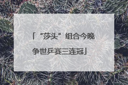 “莎头”组合今晚争世乒赛三连冠