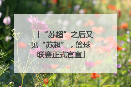 “苏超”之后又见“苏超”，篮球联赛正式官宣