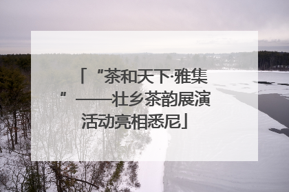 “茶和天下·雅集”——壮乡茶韵展演活动亮相悉尼