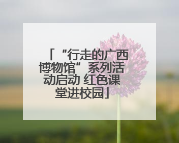“行走的广西博物馆”系列活动启动 红色课堂进校园