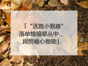 “迷路小狍崽”落单蜷缩草丛中，民警暖心救助