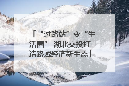 “过路站”变“生活圈” 湖北交投打造路域经济新生态