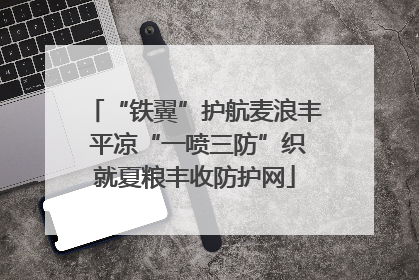 “铁翼”护航麦浪丰 平凉“一喷三防”织就夏粮丰收防护网