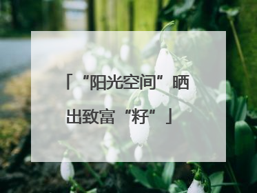 “阳光空间”晒出致富“籽”