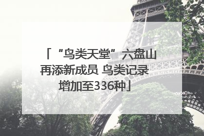 “鸟类天堂”六盘山再添新成员 鸟类记录增加至336种