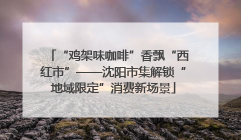 “鸡架味咖啡”香飘“西红市”——沈阳市集解锁“地域限定”消费新场景