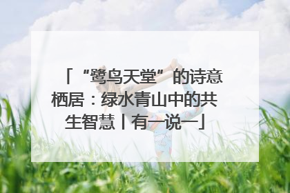 “鹭鸟天堂”的诗意栖居：绿水青山中的共生智慧丨有一说一