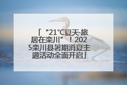“21℃夏天·旅居在栾川”！2025栾川县暑期消夏主题活动全面开启