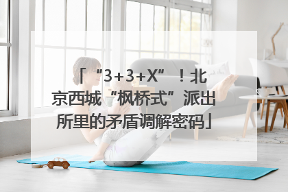 “3+3+X”！北京西城“枫桥式”派出所里的矛盾调解密码