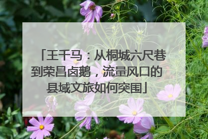 王千马：从桐城六尺巷到荣昌卤鹅，流量风口的县域文旅如何突围