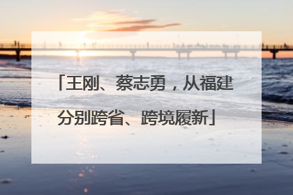 王刚、蔡志勇，从福建分别跨省、跨境履新