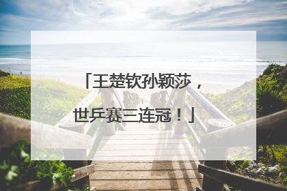 王楚钦孙颖莎，世乒赛三连冠！