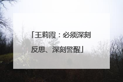 王莉霞：必须深刻反思、深刻警醒